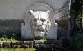 Notre-Dame des Buis