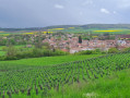 Nouvelles vignes et Vic sur Seille