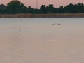 Observatoire Ornithologique Nord du Grand Coulon