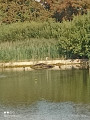 Au bout du Bois de la Deule Au bout du Bois de la Deule