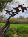 Chemin du Yané - Grande boucle