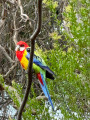 Along the Yarra River, Melbourne