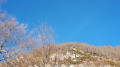 Oiseaux près du col d'Arras