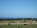 Old Coast Path Route - Cromer to Sheringham