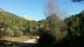 Oliveraie et Sainte-Victoire Oliveraie et Sainte-Victoire