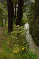 Salva Canal from Guillestre Canal Salva au départ de Guillestre