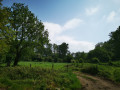 Vallée du Geer au départ de Houtain-Saint-Siméon