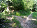 On quitte le chemin principal et on suit un sentier plus sauvage (situé au ::WP3::)