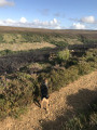 Baysdale circular walk from Hob Hole