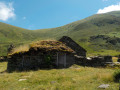 Orris du haut