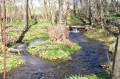 Osterbek
