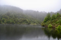 Otago Dam