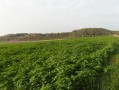 Ourton