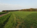 Ourton