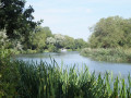 Ouse Valley Way - St Neots to Houghton