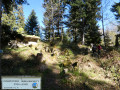 World War I fortifications
