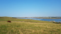 Padstow Bay and Camel Estuary from open fields