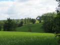 Palette de vert