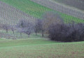 Palette de verts