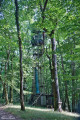 Palombière verticale