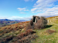 Palombière