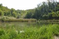 Pan d'eau