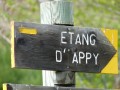 Teich von Appy