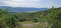 Panorama 1