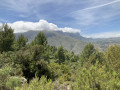 Panorama 3