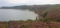 Panorama arboré