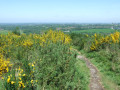 Panorama au sommet