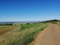 Petite route menant à Liocourt