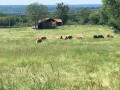 Panorama du lieu-dit Les Places