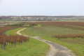 Panorama en direction de Saint Richer