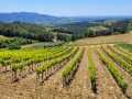 Panorama-Rundweg durch den Bois des Abrigeaux Boucle panoramique par le Bois des Abrigeaux