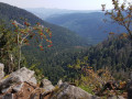 Panorama: La vallée de Munster