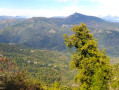 Panorama sur la Castaniccia