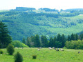 Boucle pure nature au départ de Cens