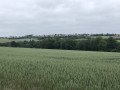 Panorama sur la vallée du ruisseau de Cesny avec Croisilles en arrière-plan