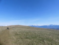 Panorama sur les Alpes