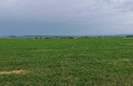 Panorama sur les côtes de Moselle