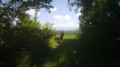 Panorama sur les Pyrénées après le point 8