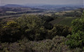 Panorama sur Limoux et la chaine des pyrénées