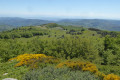 Panorama Est