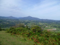 panorama panorama