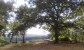 De La Ferté-Alais à Chamarande De La Ferté-Alais à Chamarande