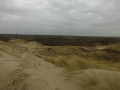 Dans les dunes de la baie d'Authie
