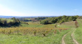 De la Vère au Saint-Hussou De la Vère au Saint-Hussou