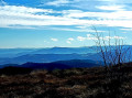 Panorama Panorama