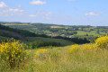 Panorama Panorama